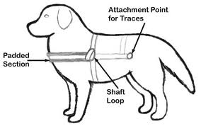 Dog Cart Harness – Fidogear